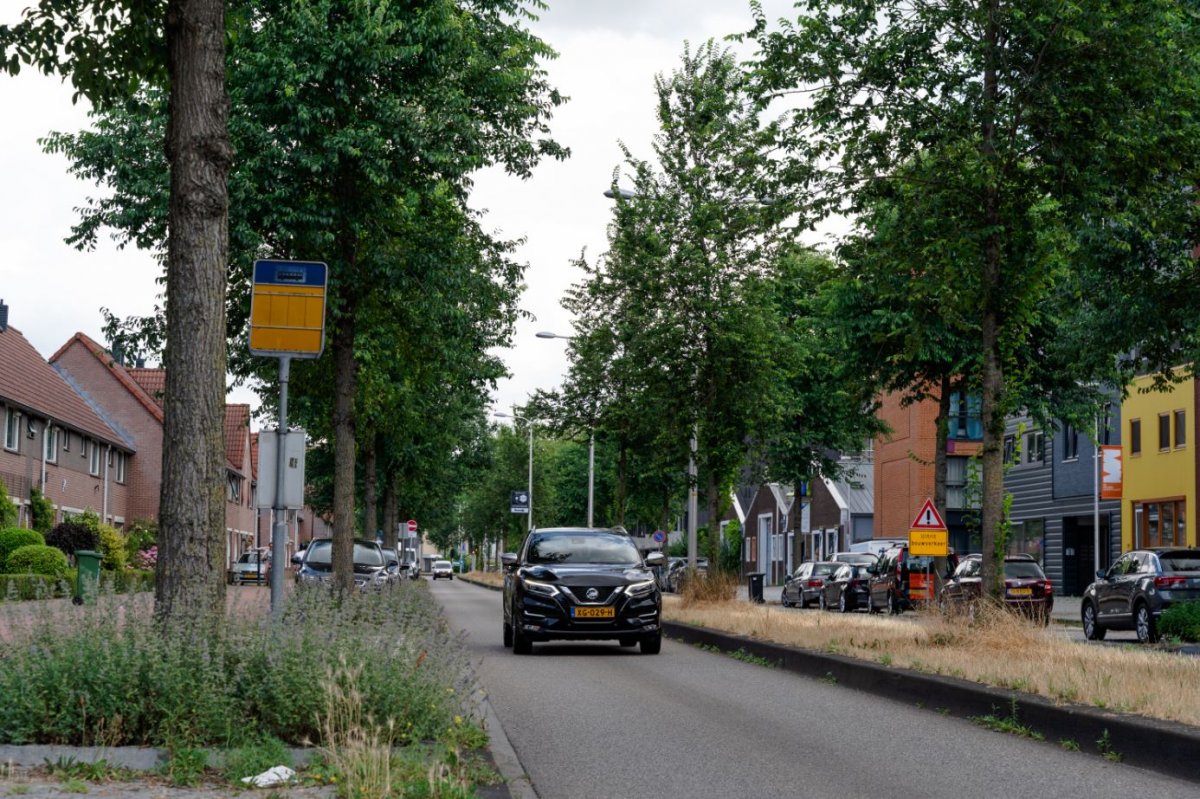 Deventer 1.JPG
